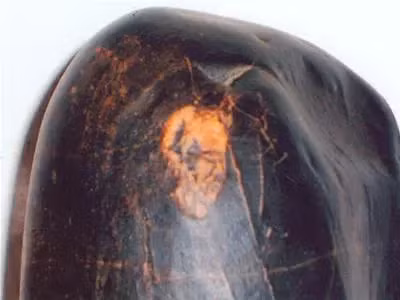 5. Viên đá có hình “Chân dung Bác”: Ở Lâm Đồng, nghệ nhân Đoàn Giàu sở hữu một viên đá có hình “Chân dung Bác” được tìm thấy tại Hàm Thuận – Đa Mi.