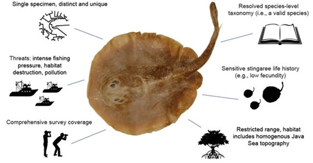Bản cập nhật mới nhất của IUCN cũng chỉ ra rằng một phần tư các loài cá nước ngọt đang đối diện nguy cơ tuyệt chủng, với 20% bị ảnh hưởng trực tiếp bởi biến đổi khí hậu.