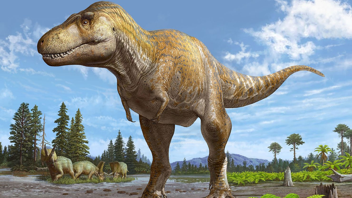 1.Khủng long bạo chúa Tyrannosaurus Rex: Là một trong những loài động vật tuyệt chủng nổi tiếng nhất hành tinh, T-rex cũng là một trong những loài khủng long lớn nhất từng tồn tại trên Trái Đất. Chiều dài của chúng có thể lên đến 12,8 mét, và trọng lượng lên đến 7 tấn. Chúng tuyệt chủng khoảng 65 triệu năm trước.