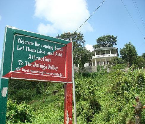 Giới chức Assam hy vọng phát triển Jatinga thành một điểm du lịch nhờ vào hiện tượng kỳ bí này và đã tiến hành các công việc xây dựng cơ sở hạ tầng để đón du khách.