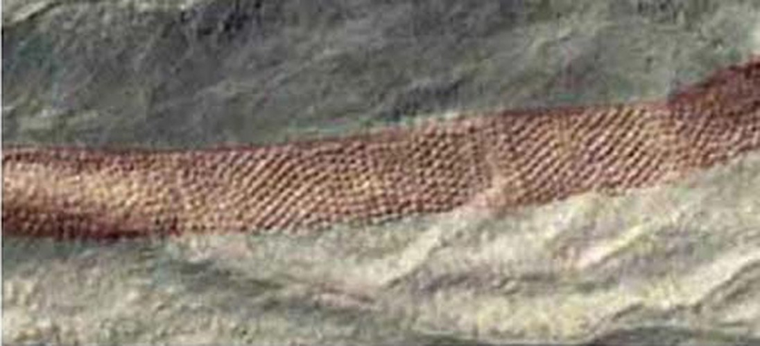 Các hố có đường kính trung bình khoảng 0,5m, được xếp ngang thành đường thẳng gần như tuyệt đối, số khác lại nằm so le nhau. Giống như hình vẽ Nazca, hình dáng độc đáo và độ dài của dải hố bí ẩn chỉ có thể nhìn thấy toàn bộ khi chụp ảnh từ trên không.