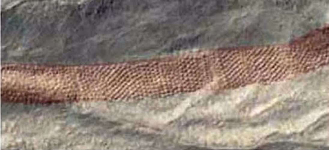 Các hố có đường kính trung bình khoảng 0,5m, được xếp ngang thành đường thẳng gần như tuyệt đối, số khác lại nằm so le nhau. Giống như hình vẽ Nazca, hình dáng độc đáo và độ dài của dải hố bí ẩn chỉ có thể nhìn thấy toàn bộ khi chụp ảnh từ trên không.