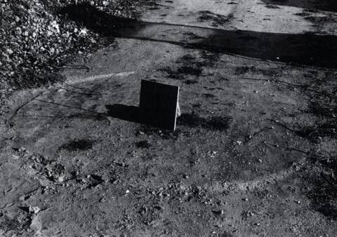 Trong lúc đi tìm nơi phát ra âm thanh lạ đó, ông Nicolaï bất ngờ nhìn thấy một UFO cất cánh rồi nhanh chóng biến mất khỏi tầm mắt. Sau khi UFO rời đi, ông phát hiện có những vết cháy xém trên mặt đất - nơi vật thể bay không xác định từng đáp xuống đất.