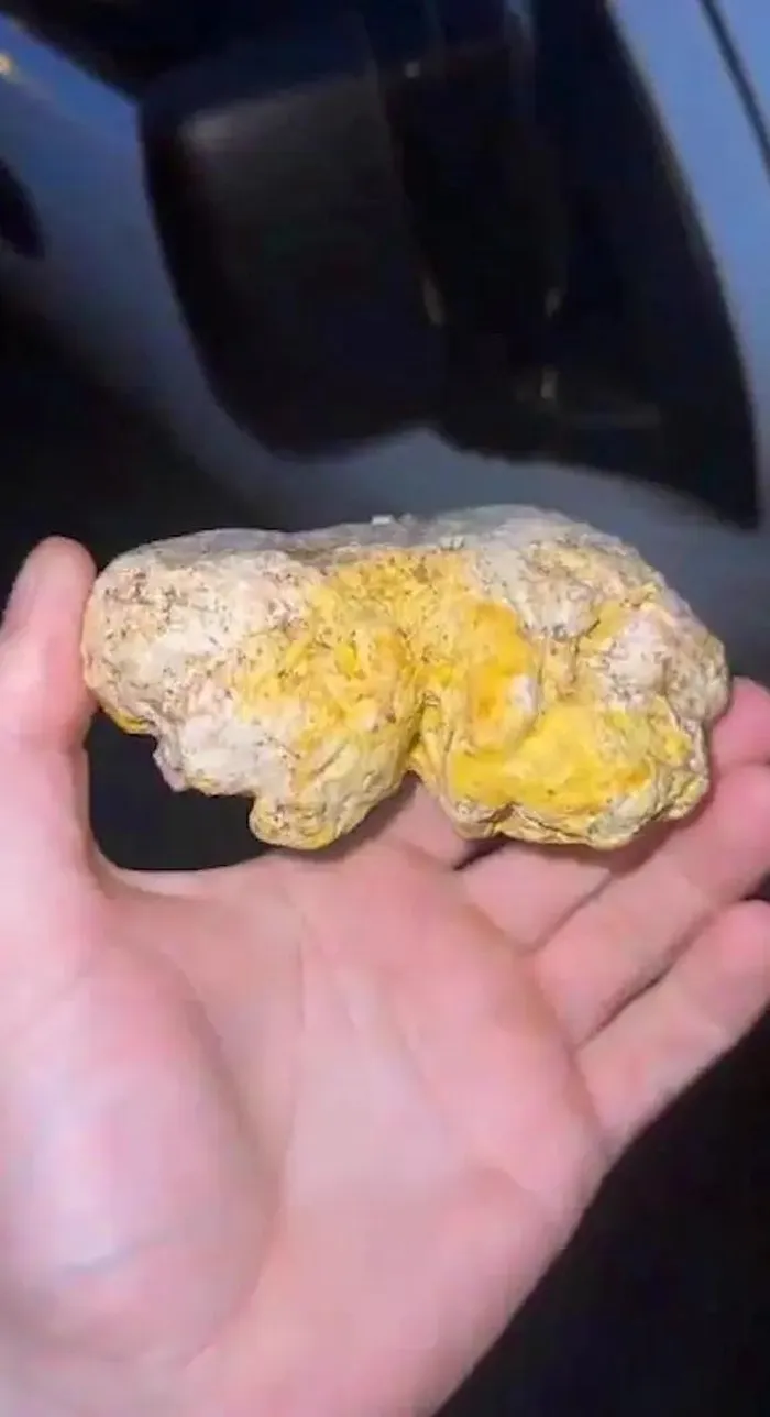 Mới đây, Patrick Williamson, 37 tuổi ở Scotland, trong lúc dắt chó đi dạo đã vô tình nhặt được khối long diên hương, nặng khoảng 5,5 ounce hoặc 0,34 pound.