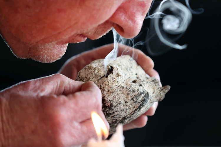 Long diên hương được săn lùng và có giá trị cao do tính quý hiếm và mùi hương đặc biệt của nó.