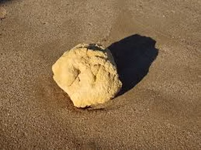 Các nhà sản xuất nước hoa sử dụng long diên hương để tạo ra các loại hương thơm đặc biệt. Mùi của long diên hương đa dạng, từ ngọt ngào đến thơm lâu phai. Nó cũng chứa một loại cồn không mùi giúp nước hoa lưu lại hương thơm lâu hơn.