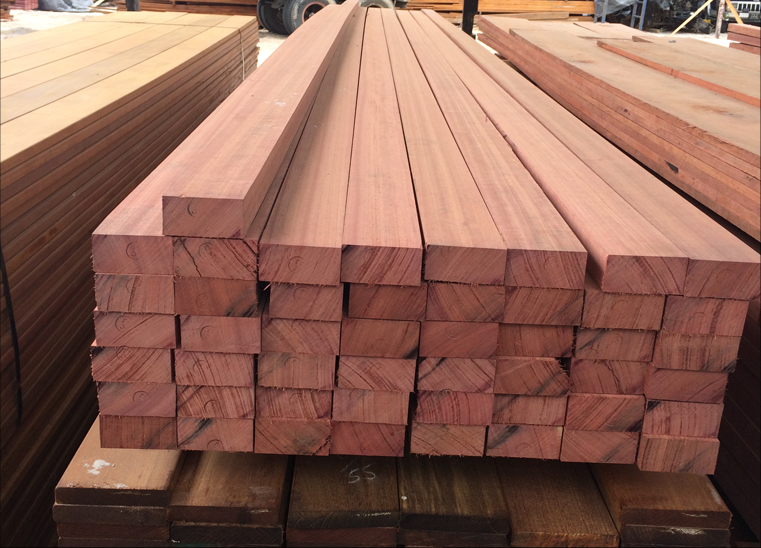 Cây gỗ cẩm tím, thuộc họ cánh bướm, có thân to, tán rộng, cao từ 20-25m, và đường kính thân gỗ có thể lên đến gần 1m.