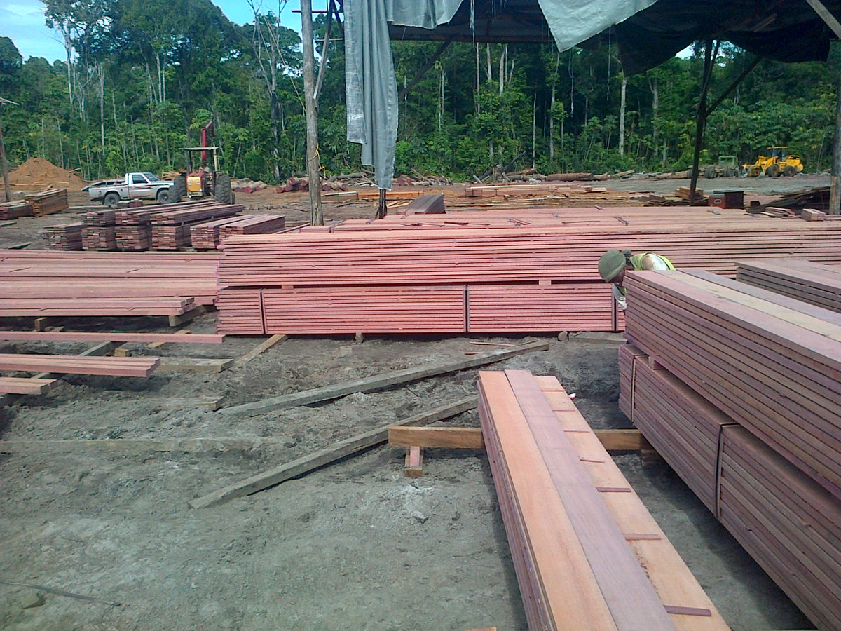 Vì giá thành cao, gỗ cẩm tím thường bị giả mạo bởi các loại gỗ khác, nhưng giá của nó có thể lên đến khoảng 11,99 USD/Board Feet (tương đương 121 triệu đồng/1m3).