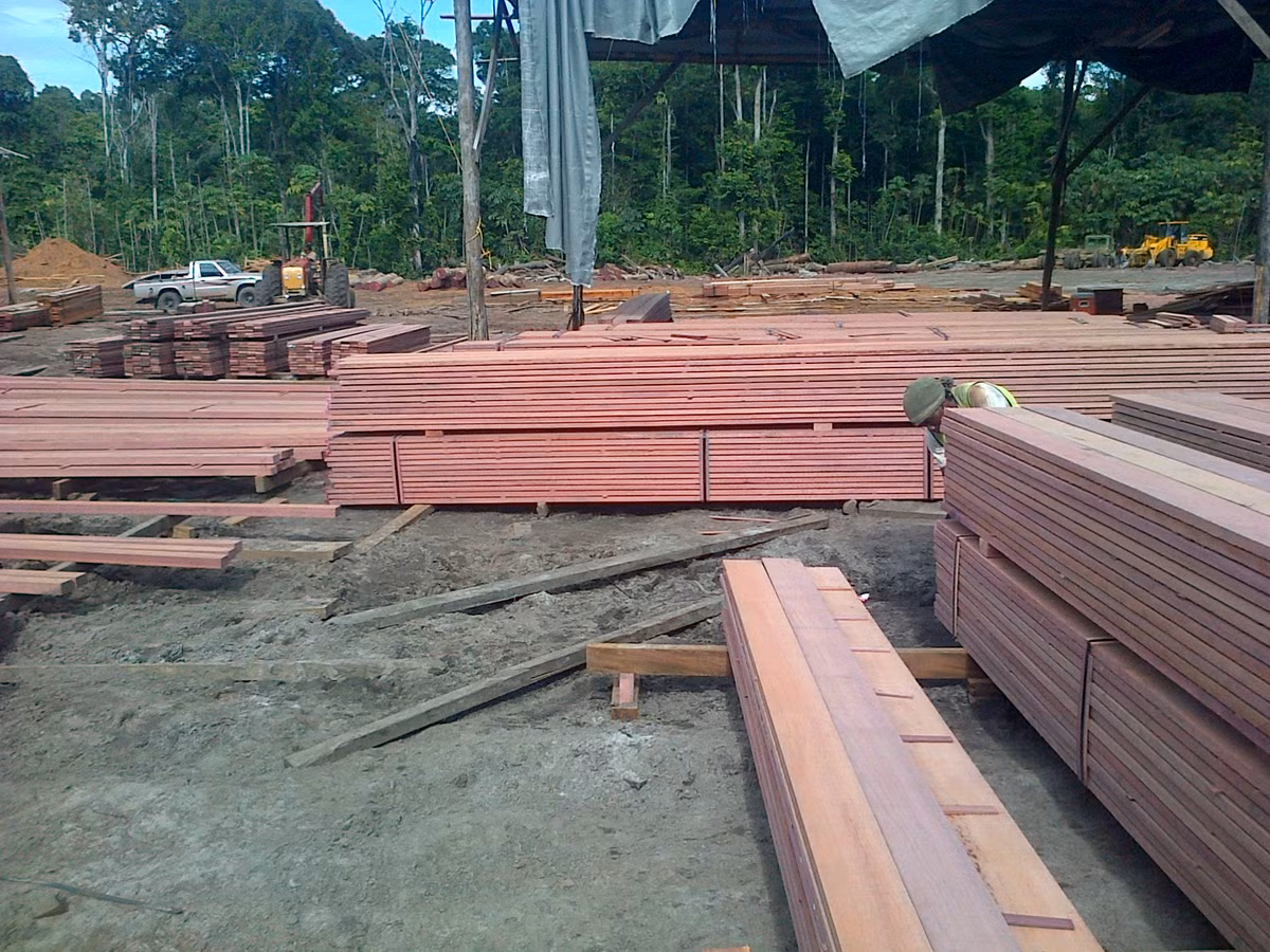 Vì giá thành cao, gỗ cẩm tím thường bị giả mạo bởi các loại gỗ khác, nhưng giá của nó có thể lên đến khoảng 11,99 USD/Board Feet (tương đương 121 triệu đồng/1m3).