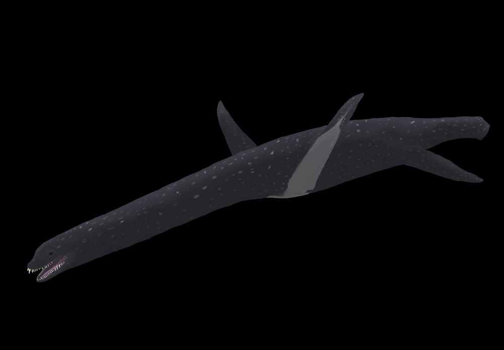 Hài cốt hóa thạch của loài này có niên đại khoảng 67 triệu năm, được phát hiện đầu tiên vào năm 2018 từ Hệ tầng López de Bertodano.