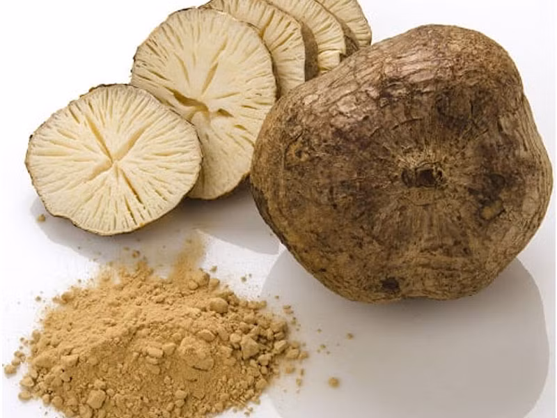 Củ sắn dây này là loại Sâm Tố Nữ, một loại thuốc bắc có giá trị dược liệu cực cao, có nhiều công dụng như chữa âm hư, giải rượu, hạ sốt.