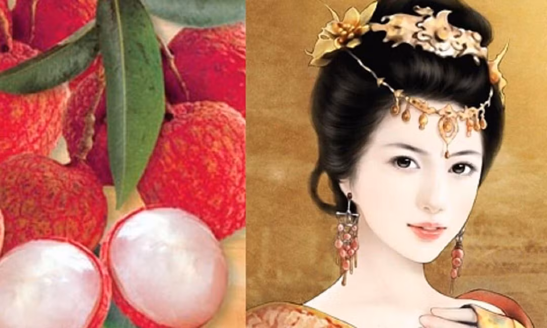  Dương Quý Phi đời Đường rất yêu thích ăn vải, và thậm chí còn đặt tên cho quả này là "phi tử tiếu" mang ý nghĩa "cười Dương Phi".