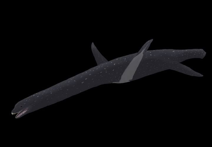 Hài cốt hóa thạch của loài này có niên đại khoảng 67 triệu năm, được phát hiện đầu tiên vào năm 2018 từ Hệ tầng López de Bertodano. Các nhà khoa học đã phải đối mặt với nhiều khó khăn trong việc khai quật và phân tích, nhưng cuối cùng họ đã tiết lộ bí mật về loài này.