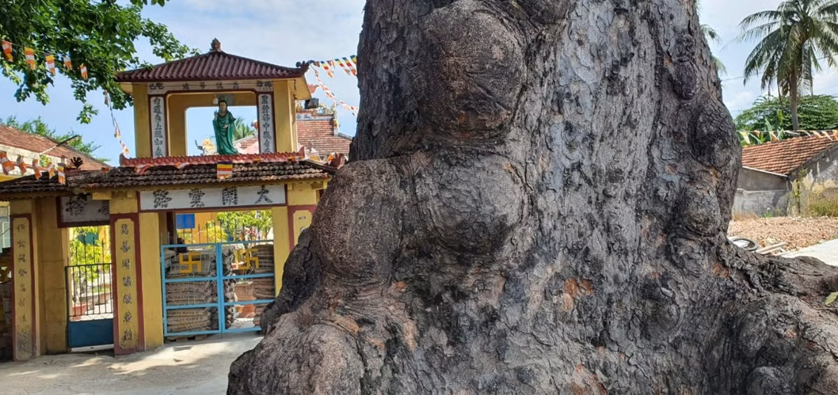 1. Kho vàng Hời ở Khánh Hòa: Chùa Hoa Tiên ở thị trấn Diên Khánh, huyện Diên Khánh, tỉnh Khánh Hòa được cho là nơi chôn giấu “ kho vàng Hời”. Lời kể từ xa xưa truyền lại rằng, đó là một kho báu của quý tộc Chăm gồm vô số tượng vàng, ngọc ngà. Kho báu được canh giữ bởi những trinh nữ bị chôn sống nhằm trấn giữ kho vàng.