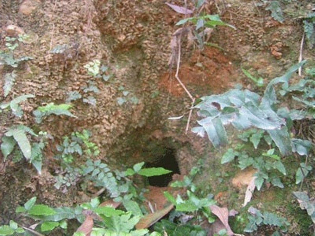 5. “Hầm vàng” ở Hà Nam: Tương truyền, "hầm thần của" là nơi chôn giấu vàng và kho báu của người phương Bắc. Chủ nhân của kho báu này đã yểm bùa rất kỹ để không ai có thể xâm nhập khu vực này.