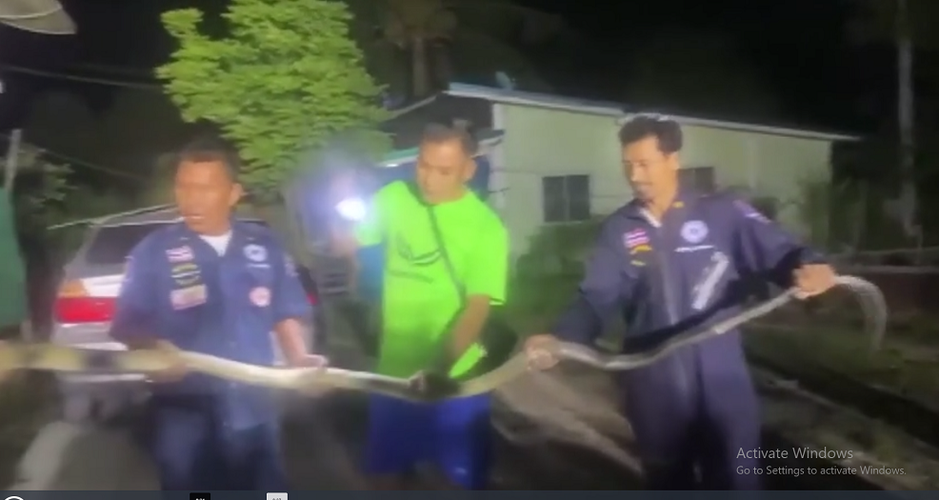 Chủ xe Jirapha Bandasak, 44 tuổi, cho biết: "Tôi nghe thấy tiếng chó sủa nên chạy ra ngoài và nhìn thấy con rắn đang trườn trong xe. Tôi tin rằng sự xuất hiện của con rắn có thể mang lại cho tôi vận may".