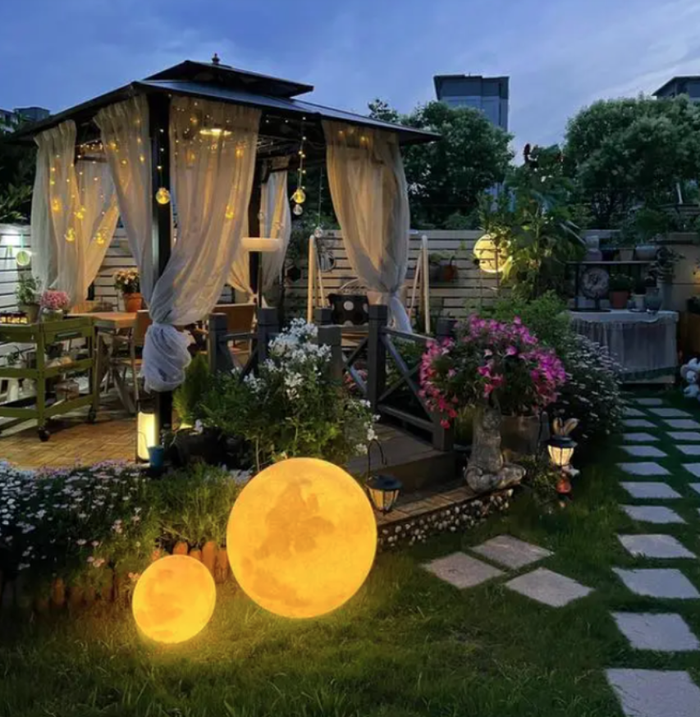 Co gai bien manh dat 60m2 thanh oc dao xanh mat giua thanh pho-Hinh-2