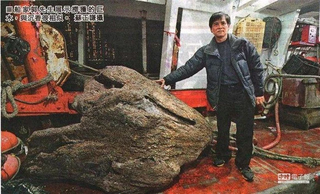 Một ngư dân ở Hồng Kông vô tình vớt được một khối gỗ kỳ lạ, có mùi thơm và chất lỏng màu hổ phách chảy ra khi cắt. Sau khi tra cứu thông tin trên mạng, ông nhận ra đó là trầm hương, chính là " báu vật" trời ban. Khối trầm này có chiều dài gần 2,8 mét và được ước tính trị giá hơn 3.455 tỷ đồng. Ông Quách quyết định bán khối trầm hương này và sẽ dùng một phần số tiền thu được để làm từ thiện. (Ảnh: Renmingwang)