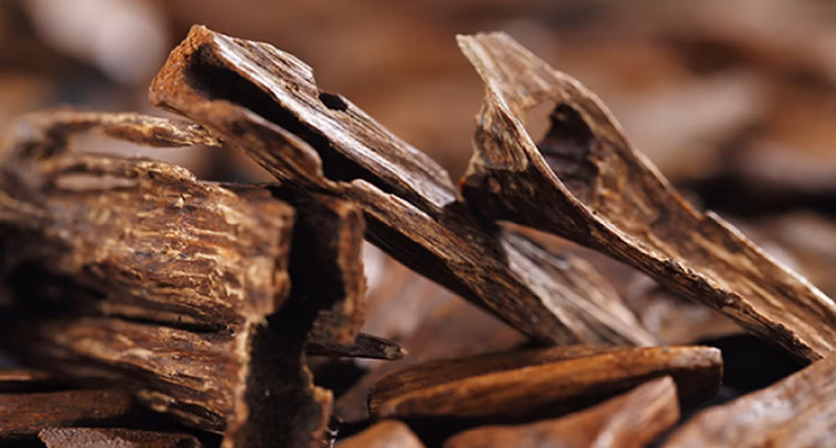 Trầm hương còn được đốt trong các nghi lễ lớn của Thiên Chúa Giáo mà người ta thường ví là hương thơm của Chúa Trời. Ngày nay, người ta vẫn sử dụng trầm hương trong các nghi thức thường nhật như tân gia, khai trương, cúng bái...