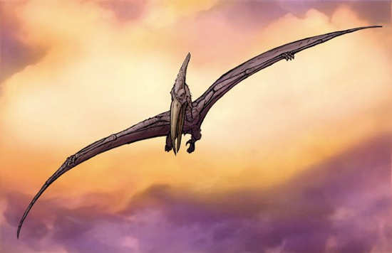 8. Kongamato: Loài chim tiền sử sống trong các đầm lầy và rừng nhiệt đới châu Phi, được mô tả có kích thước và hình dáng giống như pterodactyl.