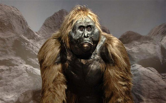 6. Yeren (dã nhân): Loài người tương tự Bigfoot của Trung Quốc, có lời kể và báo cáo về sự xuất hiện của chúng trong rừng sâu.