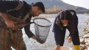 Mặc dù dân số mới của loài cá này có vẻ ổn định, nhưng các nhà nghiên cứu vẫn lo ngại về tác động của ô nhiễm, hạn hán và các loài xâm lấn.