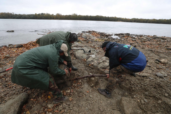 Một nhà khảo cổ học tự phong đã phát hiện ra kho báu này khi dùng máy dò kim loại tại bờ sông gần nơi anh sống. Anh đã thông báo với bảo tàng Ferenczy, và sau đó, một loạt các cổ vật, bao gồm hơn 2.000 đồng tiền vàng, đã được tìm thấy.