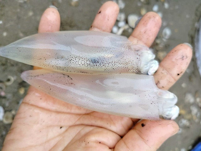 Nghi le 30/4 va 1/5 di bien Cua Lo nen ghe tham dia diem nao?-Hinh-6