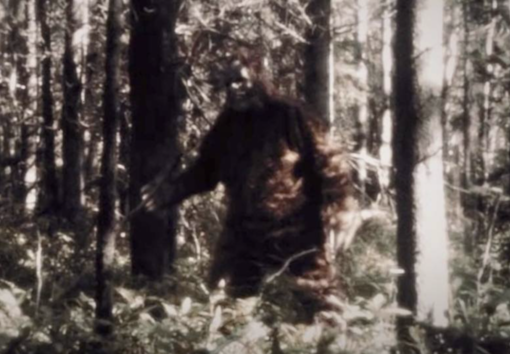 Mặc dù có những ý kiến trái chiều về đoạn video này, nhưng cộng đồng nghiên cứu Bigfoot vẫn rất hứng thú và xem nó như một bằng chứng tiềm năng về sự tồn tại của sinh vật này trong thời đại hiện đại.