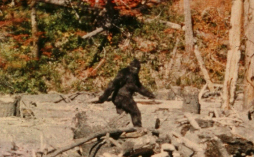 Một đoạn video mới về tiếng hú của Bigfoot được ghi lại bởi một thợ săn ở Canada và nhanh chóng thu hút sự quan tâm của công chúng.