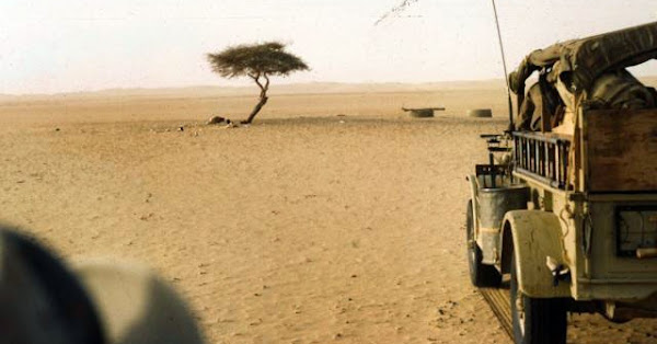 Tuy nhiên, vào năm 1973, cây keo Ténéré đã bị một người lái xe tải say rượu đâm gãy. Sau đó, cây đã được chuyển đến Bảo tàng quốc gia Nigeria và thay thế bằng một cột kim loại.