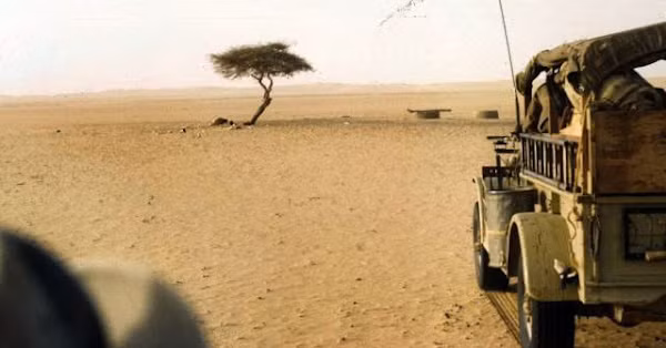 Tuy nhiên, vào năm 1973, cây keo Ténéré đã bị một người lái xe tải say rượu đâm gãy. Sau đó, cây đã được chuyển đến Bảo tàng quốc gia Nigeria và thay thế bằng một cột kim loại.