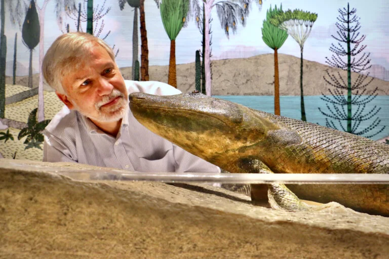 Điều này cho thấy Tiktaalik là một trong những loài cá đầu tiên có khả năng di chuyển trên cạn.