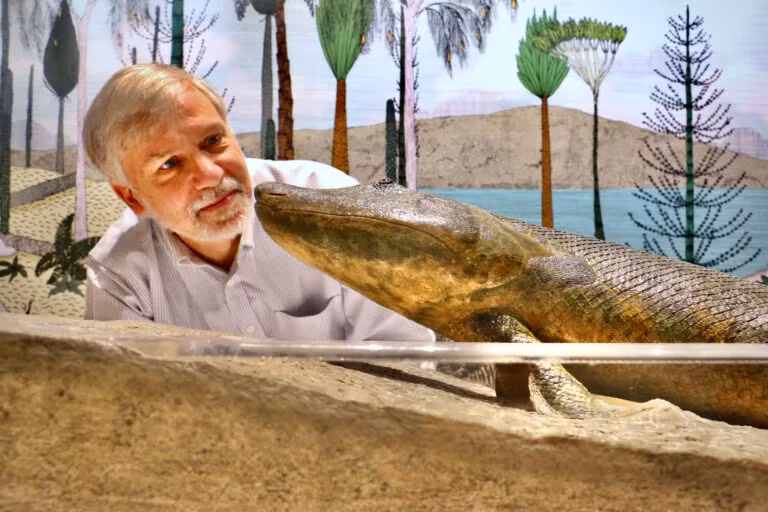 Điều này cho thấy Tiktaalik là một trong những loài cá đầu tiên có khả năng di chuyển trên cạn.