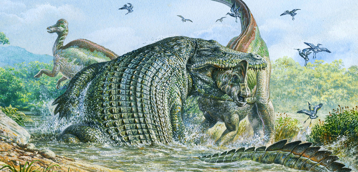 2. Deinosuchus: Đây là một chi cá sấu khổng lồ đã tuyệt chủng, sống vào cuối kỷ Phấn trắng.