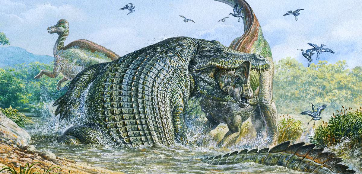 2. Deinosuchus: Đây là một chi cá sấu khổng lồ đã tuyệt chủng, sống vào cuối kỷ Phấn trắng.