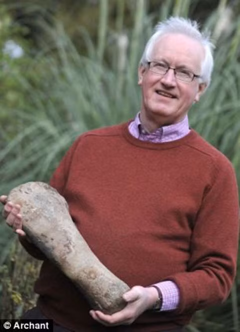 Theo tiến sĩ Richard Forrest, một chuyên gia về bò sát biển tại Anh, "Hàm răng của nó cực kỳ mạnh mẽ, đủ sức nghiền nát một chiếc xe hơi một cách dễ dàng. Thậm chí chúng có thể xơi gọn một con khủng long hung dữ".