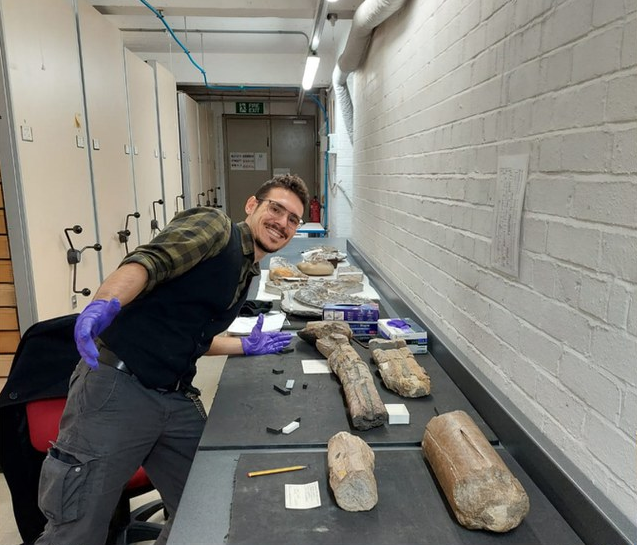 Sử dụng kính hiển vi đặc biệt, các nhà khoa học đã phân tích các cấu trúc bất thường trong thành phần xương của sinh vật này. Họ đã tìm thấy sợi collagen khoáng hóa dài, có cấu trúc khác biệt so với các loài động vật khác.