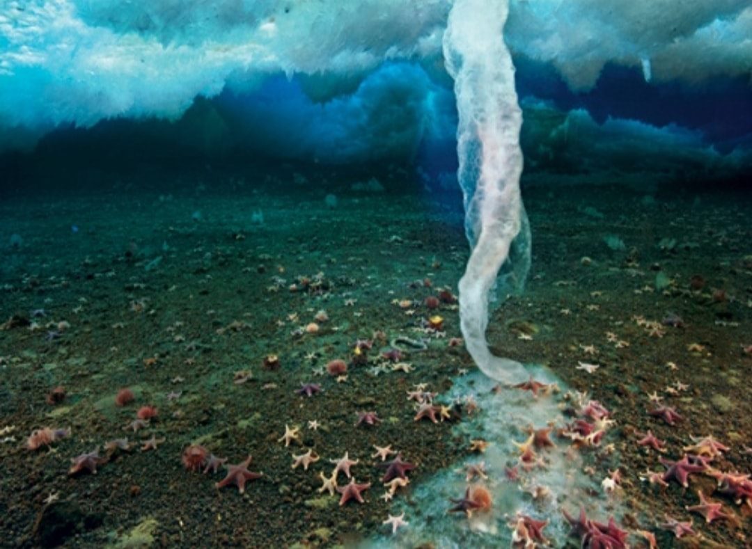 1. Xoáy nước băng (brinicle): Hiện tượng thiên nhiên này xuất hiện dưới đáy biển gần đảo Ross của Nam Cực, khi nước biển lạnh lăn xuống và tạo ra lớp băng đáy biển, làm tất cả sinh vật biển qua đó chết hết.