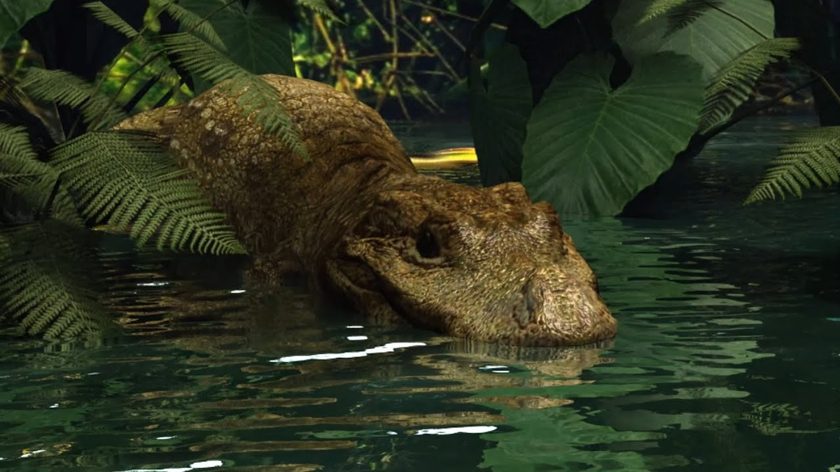 Phát hiện này cung cấp thêm một mảnh ghép quan trọng trong bức tranh đa dạng của loài cá sấu, một trong những "hóa thạch sống" đã tồn tại qua nhiều đại tuyệt chủng và có số loài, tập tính và hình thái đa dạng đến choáng ngợp.