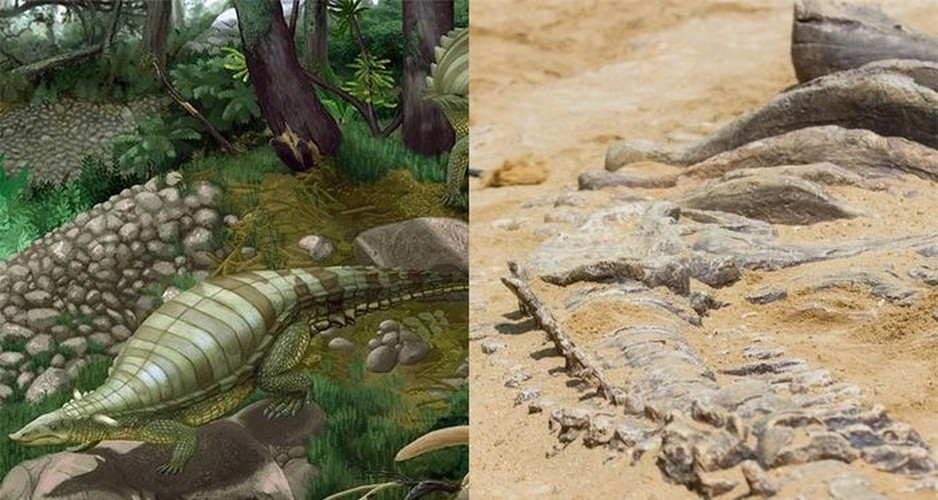 Cách đây không lâu, các chuyên gia đã giải mã được bí mật lớn về quái thú đầu đại bàng, mình cá sấu có niên đại 218 triệu tuổi. Bộ xương của quái thú này được tìm thấy ở bang Texas, Mỹ. Họ xác định đó là một sinh vật thuộc dòng họ Aetosaur.