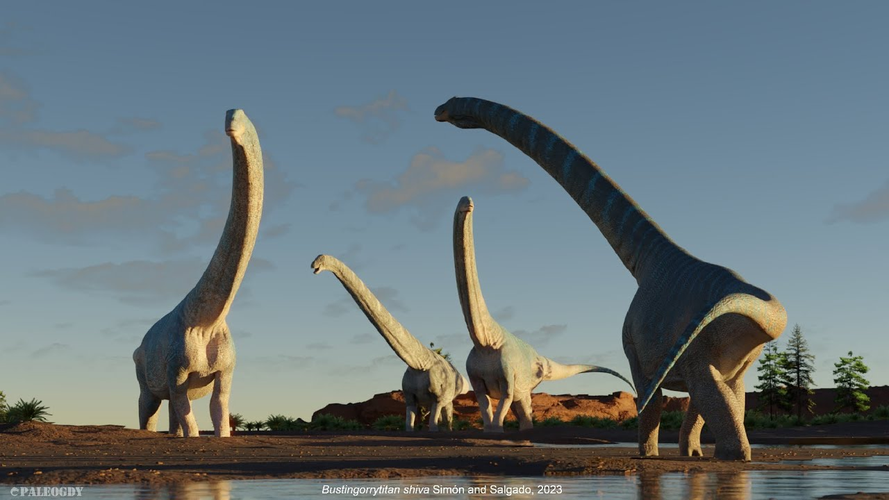 Phát hiện này xảy ra ở khu vực Bắc Patagonia ở miền nam Nam Mỹ, đặc biệt là tại tỉnh Neuquén của Argentina. Các hài cốt của loài này được phát hiện từ năm 2000, sau nhiều năm khai quật và phân tích, các nhà nghiên cứu đã xác định được ít nhất 4 cá thể của loài mới này.