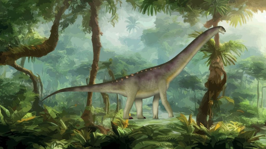 Bustingorrytitan shiva được xác định là đến từ Hệ tầng Huincul, có niên đại từ 93 đến 96 triệu năm trước, thời kỳ hoàng kim của loài khủng long. Loài này được cho là tồn tại cho đến cuối kỷ Phấn Trắng, khi tiểu hành tinh Chicxulub va chạm Trái Đất, chấm dứt sự tồn tại của tất cả khủng long cổ đại.