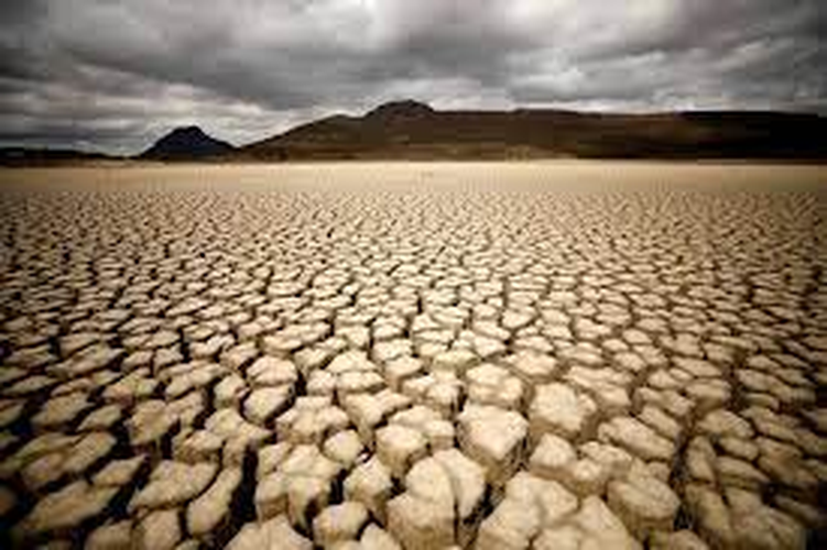 Nhà tiên tri này dự đoán, "đất khô sẽ ngày càng khô cằn hơn", "lũ lụt lớn" có thể liên quan đến biến đổi khí hậu và sự tăng cường của hiện tượng thiên tai trong năm 2024.