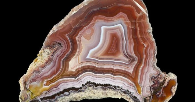 Các khối gỗ hóa thạch có giá trị cao và được coi là "báu vật" trời ban với giá trị lên đến hàng trăm triệu đồng mỗi khối.