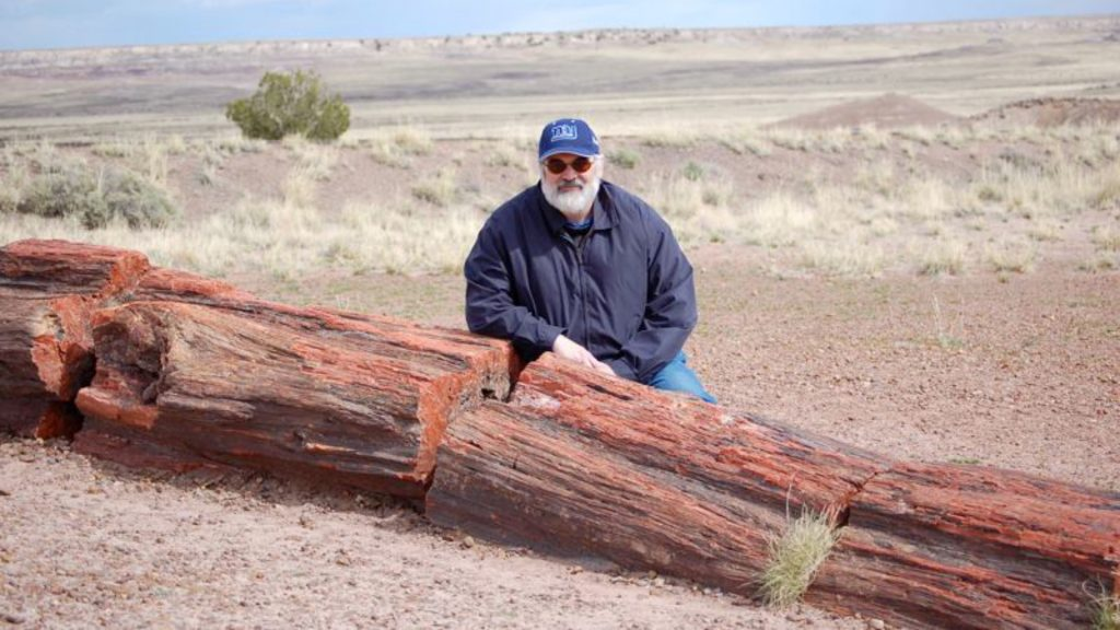 Mặc dù là một dạng đá, gỗ hóa thạch vẫn được sử dụng làm nguyên liệu để chế tác thành các món trang sức và đồ mỹ nghệ.