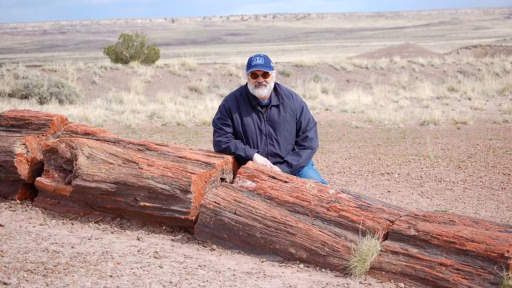 Mặc dù là một dạng đá, gỗ hóa thạch vẫn được sử dụng làm nguyên liệu để chế tác thành các món trang sức và đồ mỹ nghệ.