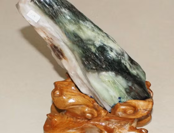 Màu sắc của gỗ hóa thạch đa dạng từ xám, nâu đến đỏ, cam vàng và đen, trong đó màu xanh ngọc bích là quý hiếm nhất.