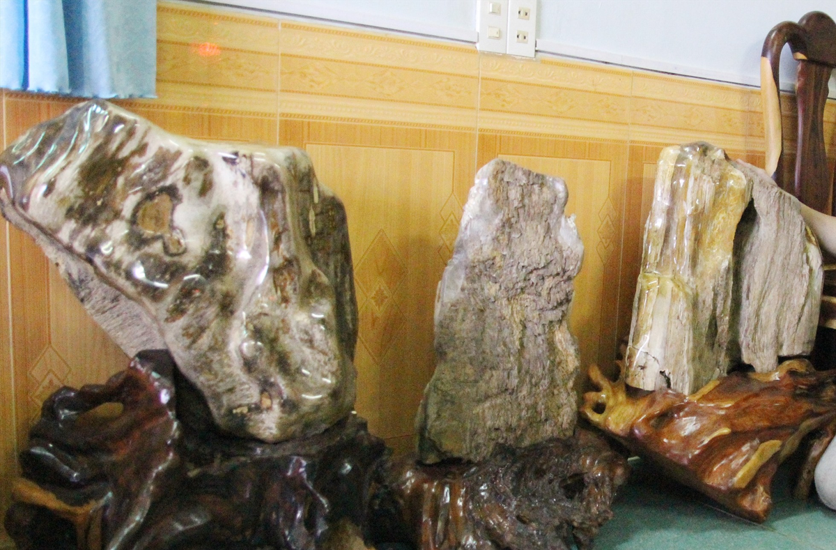 Các nền văn minh cổ đại đã sử dụng gỗ hóa thạch để làm trang sức, và ngày nay nó vẫn được sử dụng để chế tác các món đồ mỹ nghệ và nội thất.