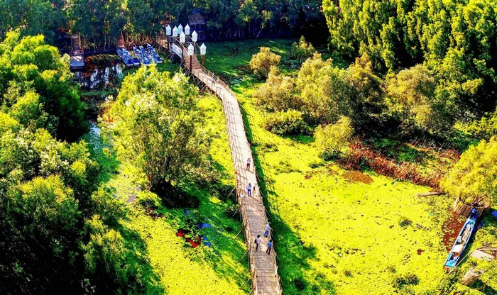 Từ khi đưa vào khai thác, chiếc cầu tre này đã thu hút rất nhiều du khách, nhất là khách quốc tế vì tính độc đáo và nét duyên dáng của công trình